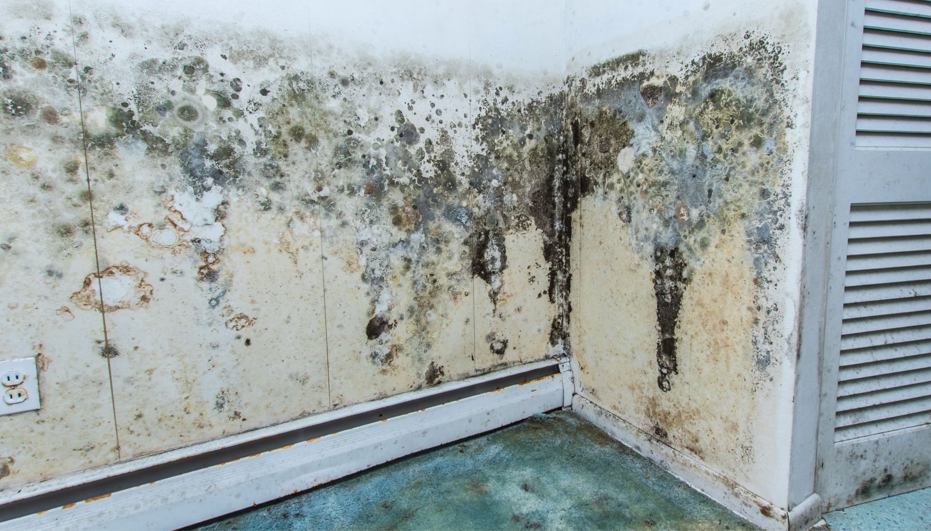 Professional mold removal, odor control, and water damage restoration service in Augusta, Georgia.