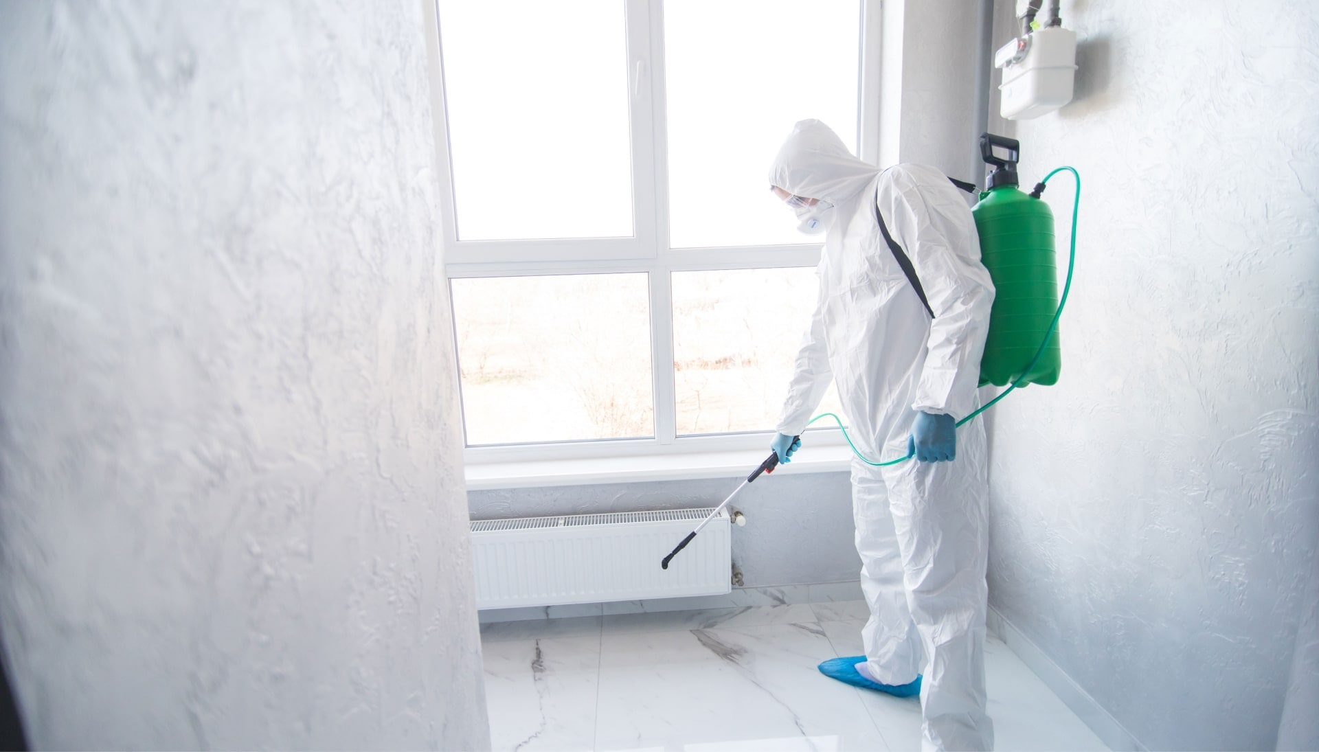 We provide the highest-quality mold inspection, testing, and removal services in the Augusta, Georgia area.