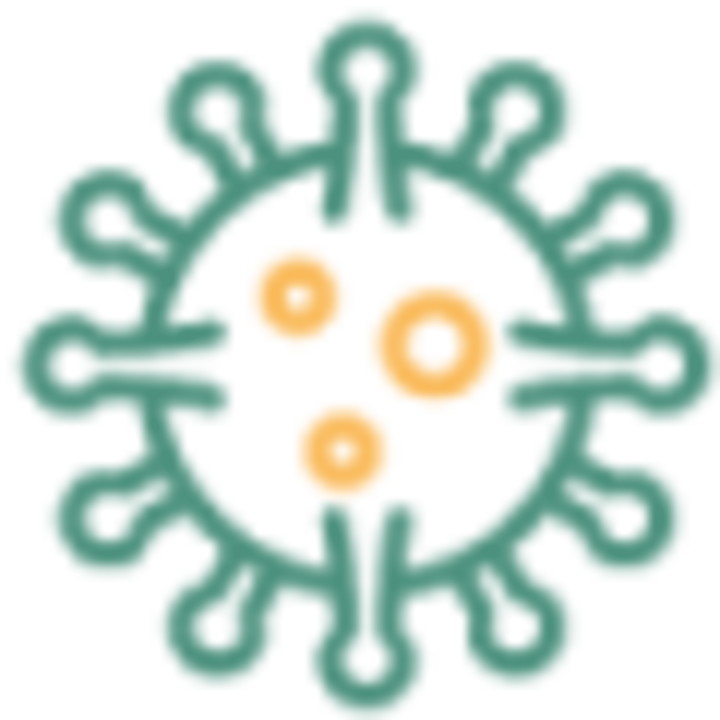 Mold Systems of Masters City